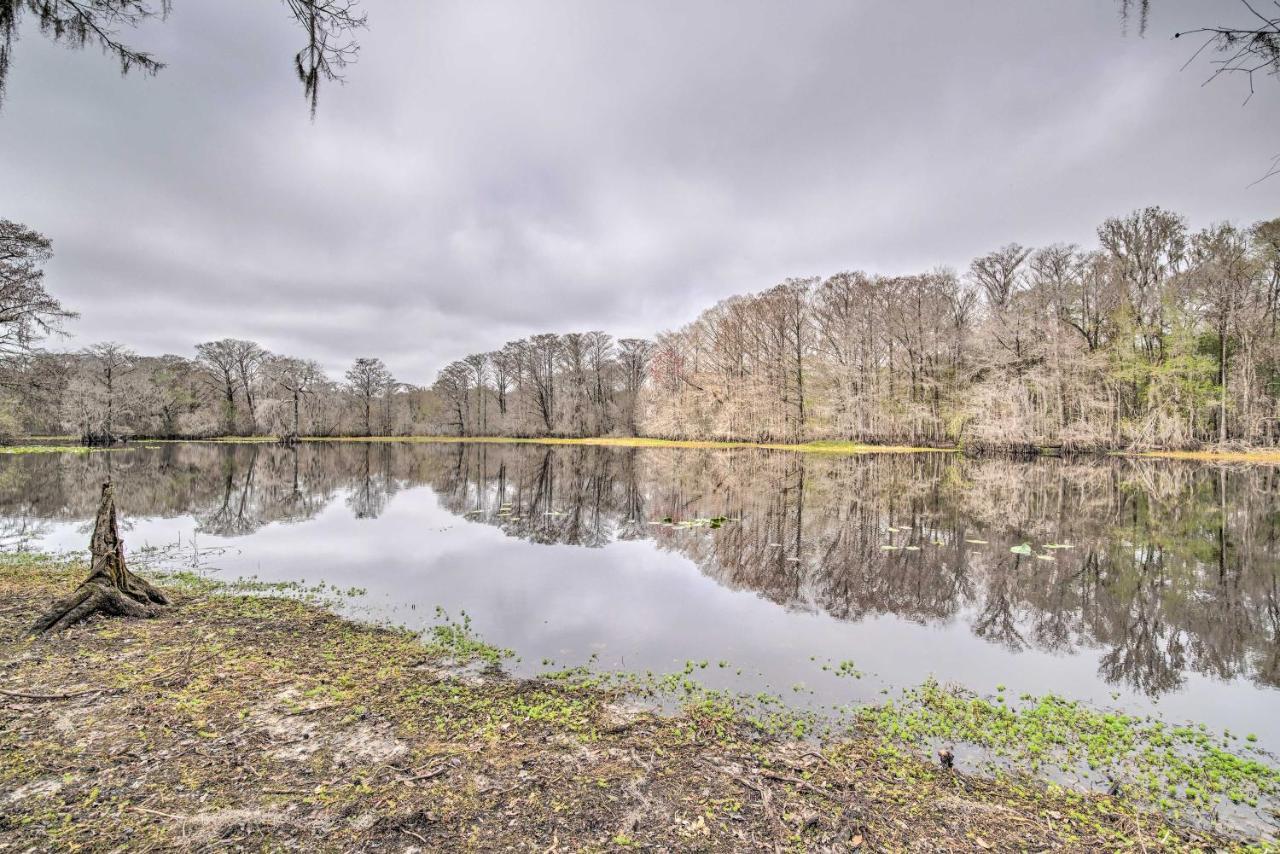 Unplugged Withlacoochee Riverfront Retreat! Bushnell Exteriér fotografie